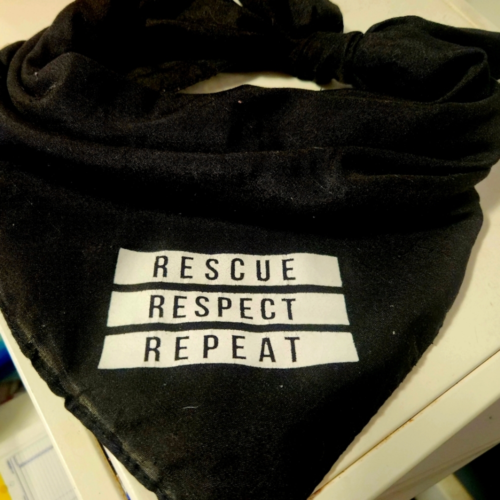 Large dog bandana